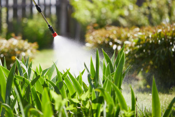Tamper-Resistant Bait Stations for Rodents in Madera Ranchos