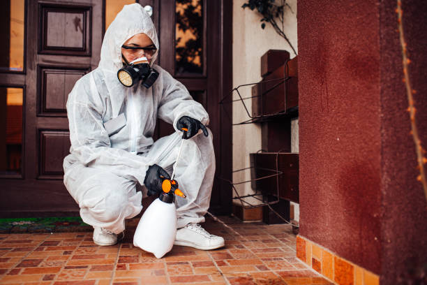 Attic and Crawl Space Rodent Treatment in Madera Ranchos